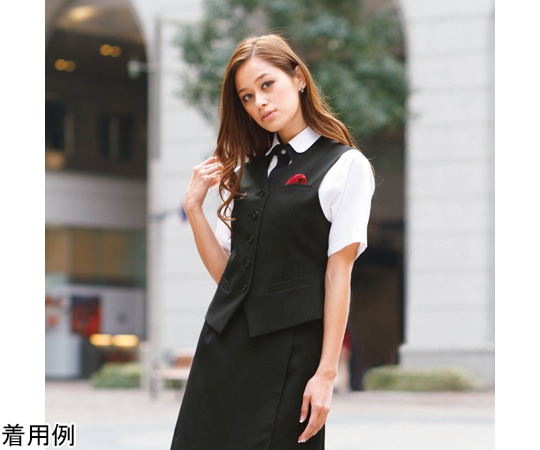 カーシーカシマ AMUS-NET ベスト 13号 AAV264 1枚（ご注文単位1枚）【直送品】