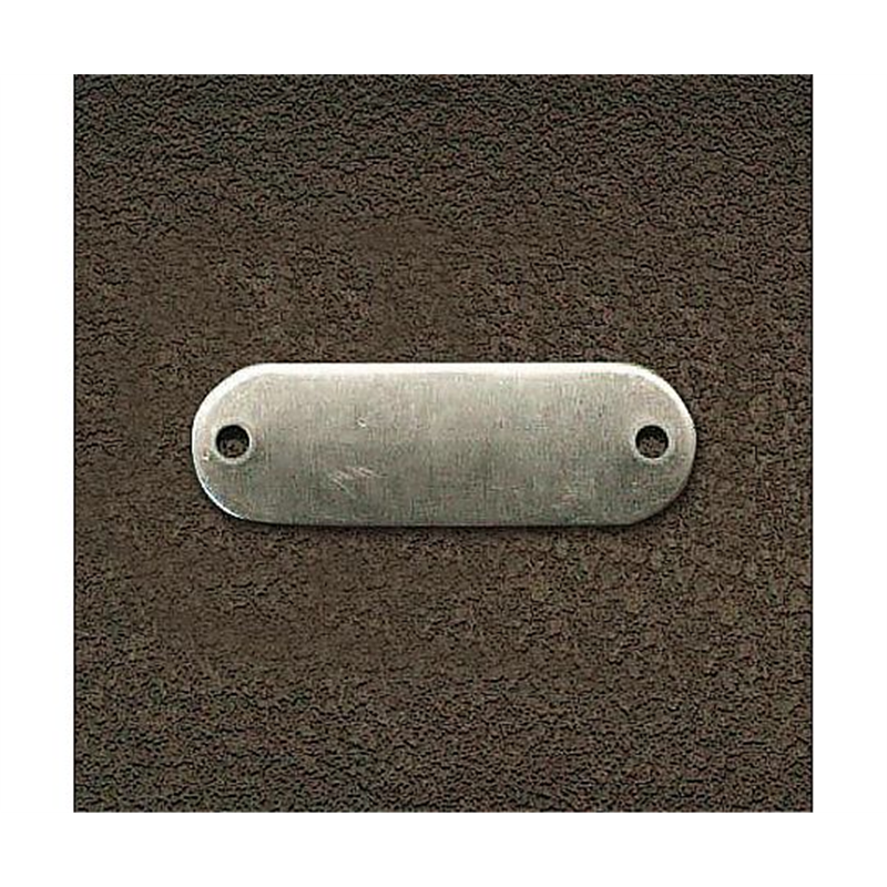 アズワン 16x48mm タグブランク(ステンレス 長丸/10枚) EA591HE-21 1箱(ご注文単位1箱)【直送品】