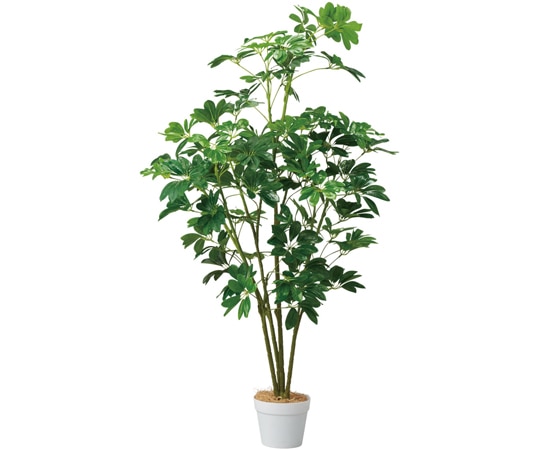 アズワン シェフレラ(フェイクグリーン 人工樹木)135cm 61-806-82-2 1個(ご注文単位1個)【直送品】