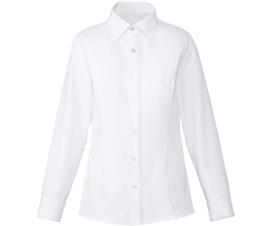 カーシーカシマ ENJOY シャツブラウス CLEAR BLOUSE ブルー×ホワイト 11号 EWB484 1枚（ご注文単位1枚）【直送品】