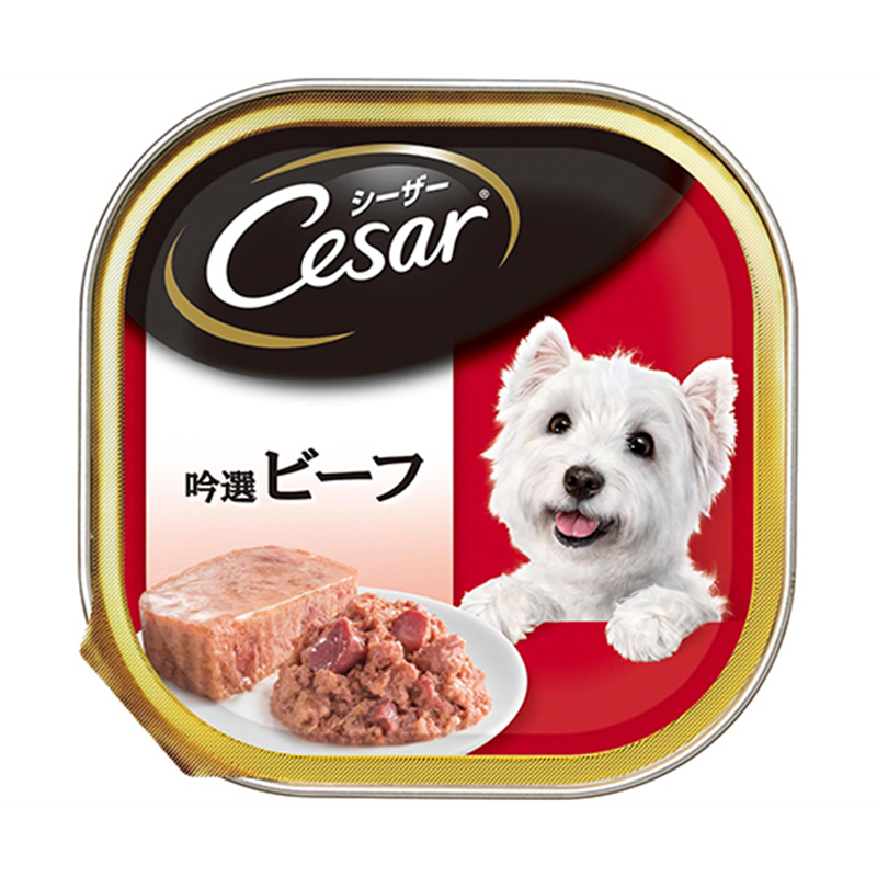 マースジャパンリミテッド シーザー 吟選ビーフ 100g CE25N 1個（ご注文単位1個）【直送品】