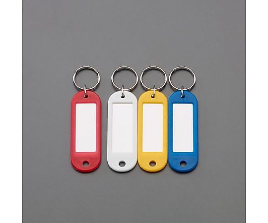 ライオン事務器 21x60mm ネームタグ(15個) EA956VA-26 1箱(ご注文単位1箱)【直送品】