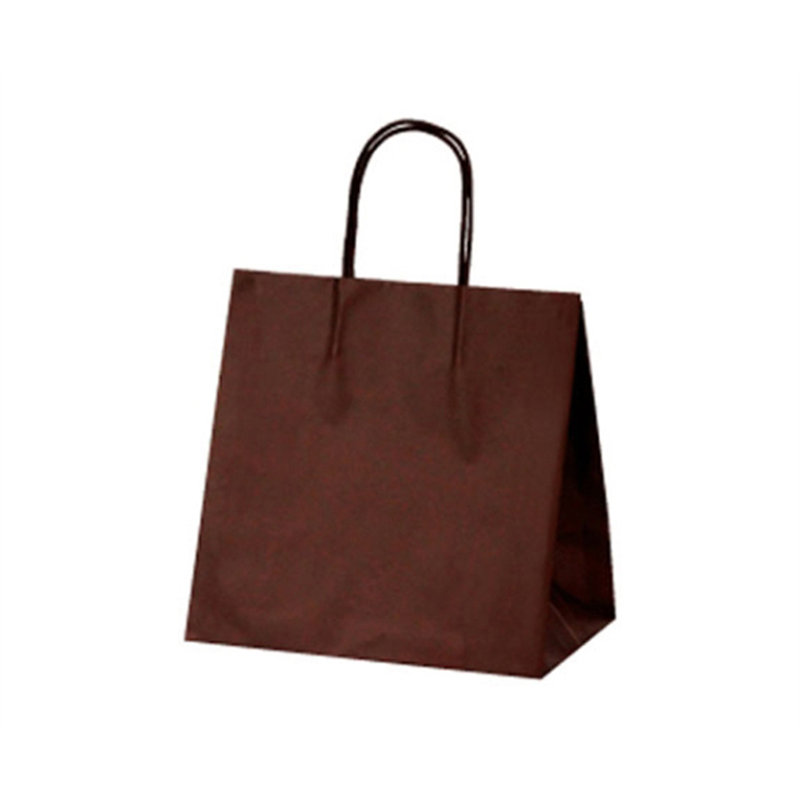 ベルベ 紙袋 マットバッグ MSワイド ブラウン 100枚 1766 1ケース（ご注文単位1ケース）【直送品】