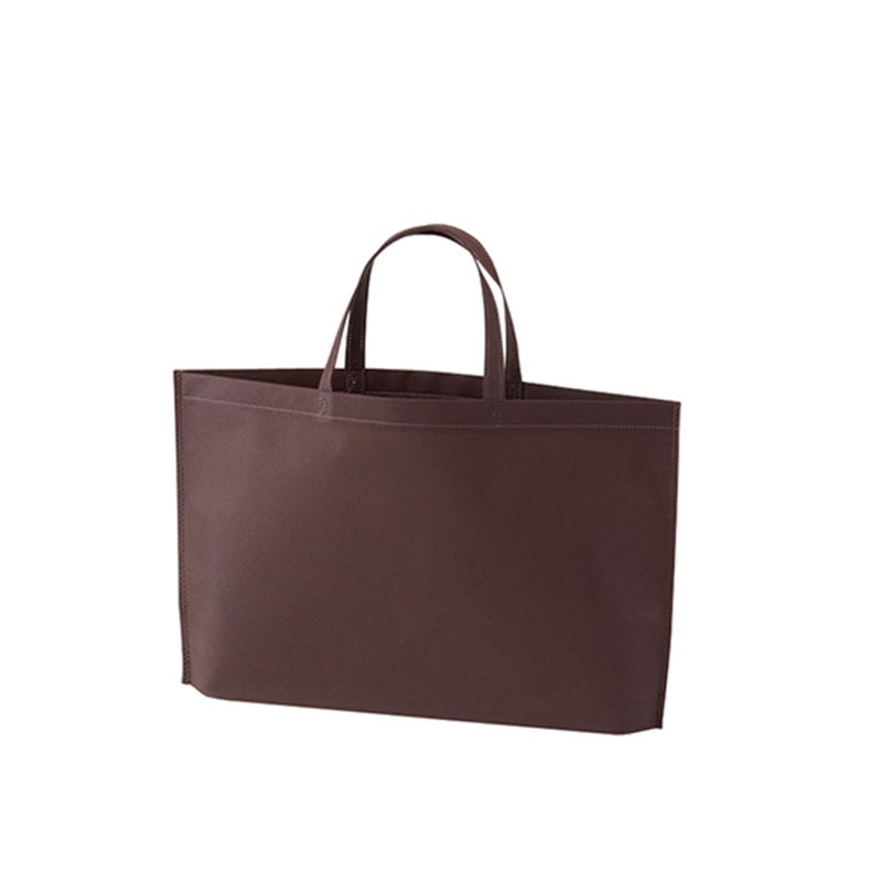 アズワン 不織布バッグ 底マチA4横 ダークブラウン 1箱(100枚入) LC0931NG00 1箱(ご注文単位1箱)【直送品】