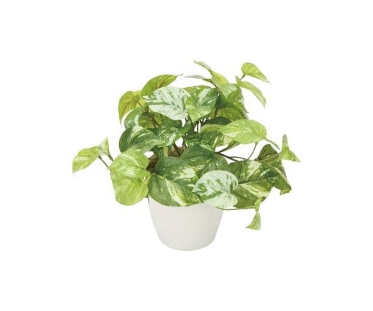 ナカキン 光触媒フェイクグリーン マーブルポトス GF-MP25 1個（ご注文単位1個）【直送品】