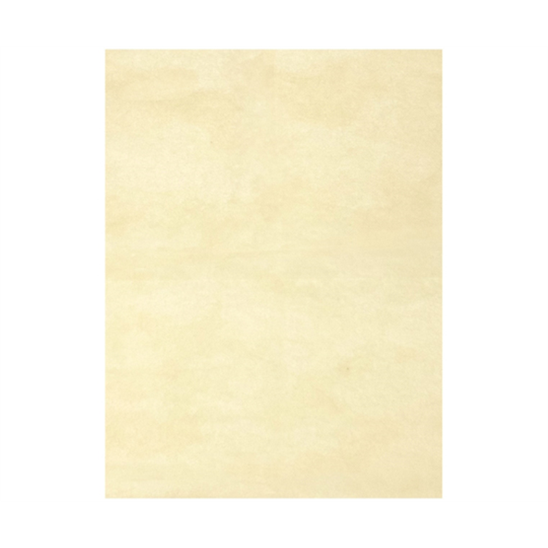 エスパック 不織布インナーバック 薄タイプ ベージュ M 1袋(100枚入)  1袋(ご注文単位1袋)【直送品】