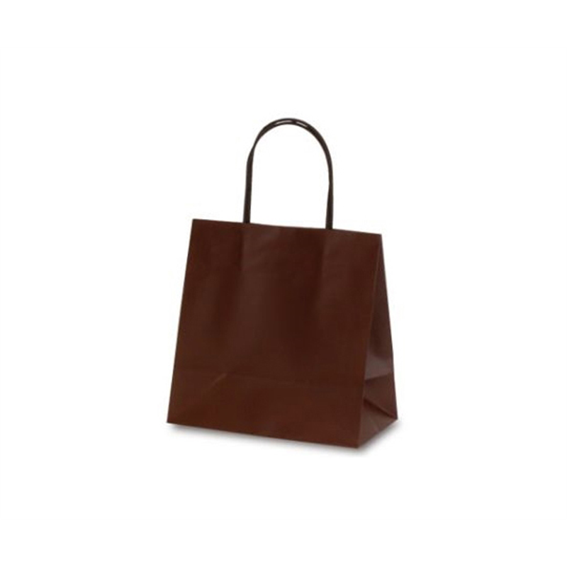 ベルベ 紙袋 マットバッグ SS ブラウン 100枚 1081 1ケース（ご注文単位1ケース）【直送品】