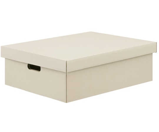 アイリスオーヤマ 段ボール収納ケース2枚セット ホワイト DB-490 1箱（ご注文単位1箱）【直送品】