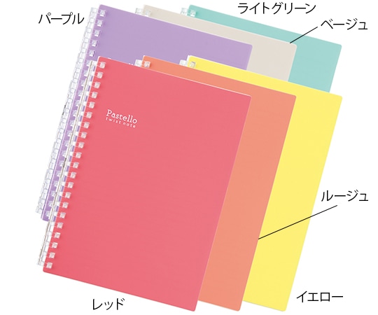 LIHITLAB ツイストノート(B6・S型 21穴) レッド N1969-3 1冊(ご注文単位1冊)【直送品】