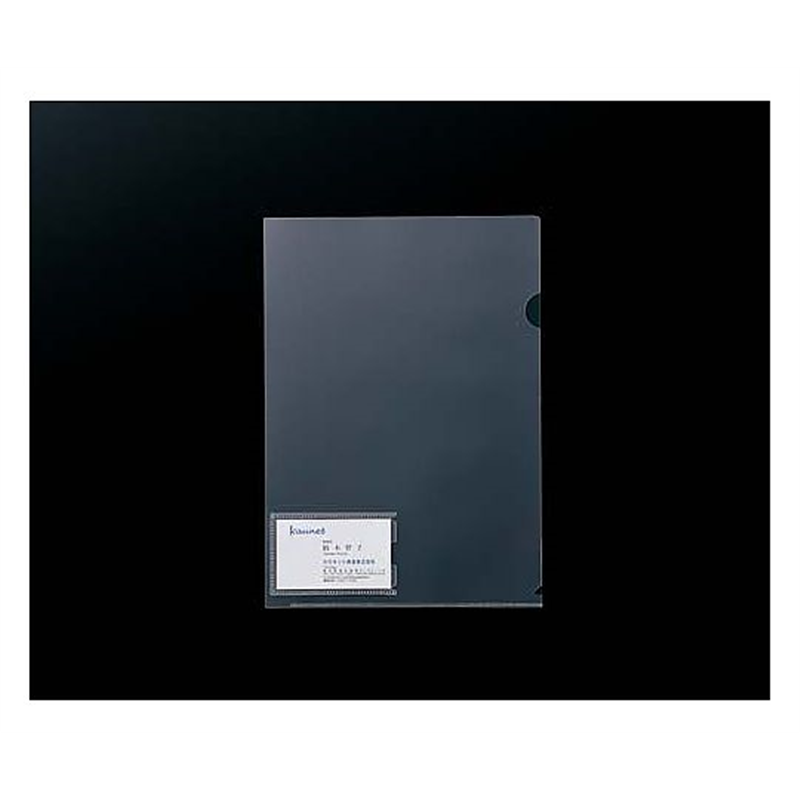 カウネット クリヤーホルダー A4 名刺ポケット(ヨコ)10枚 4211-1399 1パック(ご注文単位1パック)【直送品】