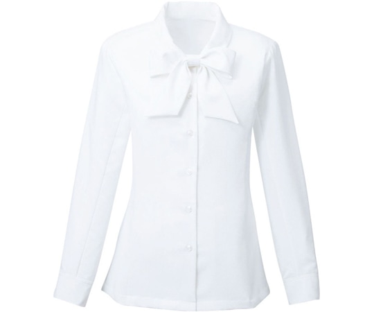 カーシーカシマ ENJOY シャツブラウス Softkarseystretch 19号 EWB387 1枚（ご注文単位1枚）【直送品】