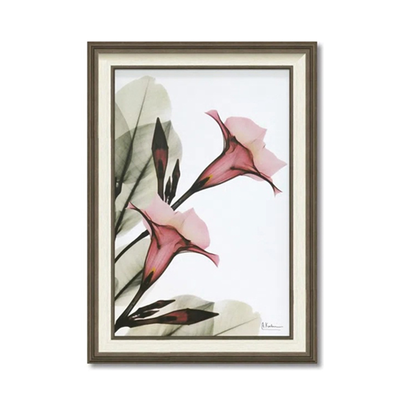 ユーパワー X RAY キャンバスアート｢トランペット フラワー(Mサイズ)｣ XR-12002 1個（ご注文単位1個）【直送品】