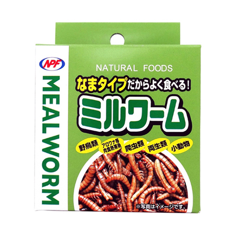 ナチュラルペットフード ミルワーム 35g 1581 1個（ご注文単位1個）【直送品】