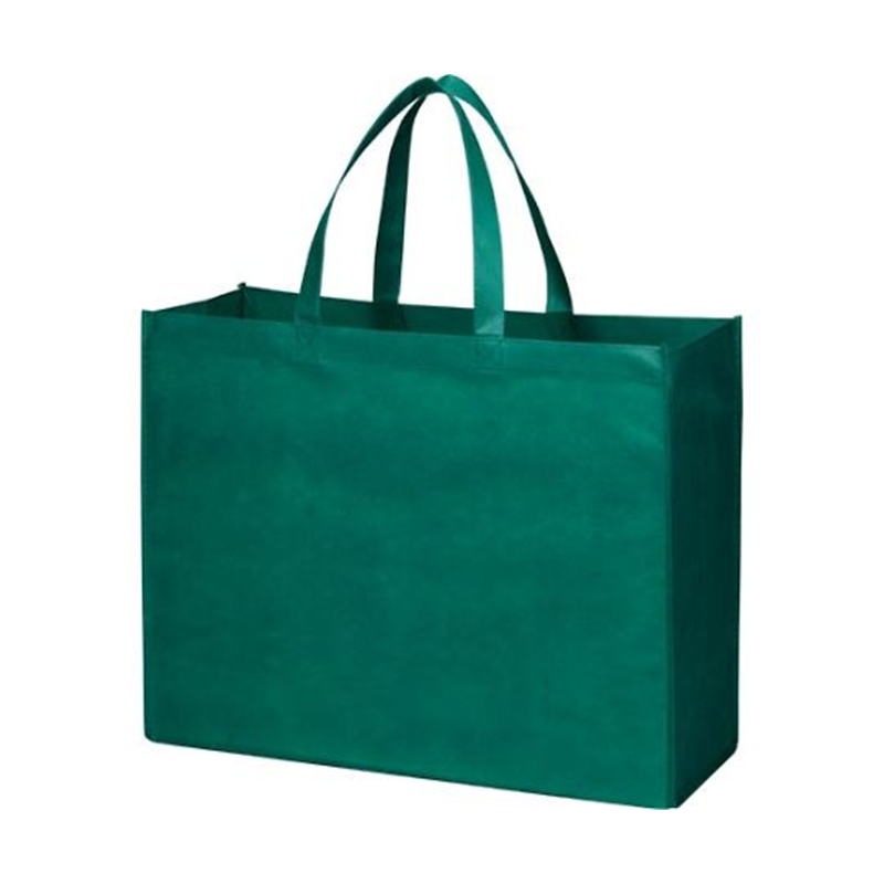 大川企画 不織布バッグ グリーン L 1パック(5枚入) G-L006 1パック(ご注文単位1パック)【直送品】