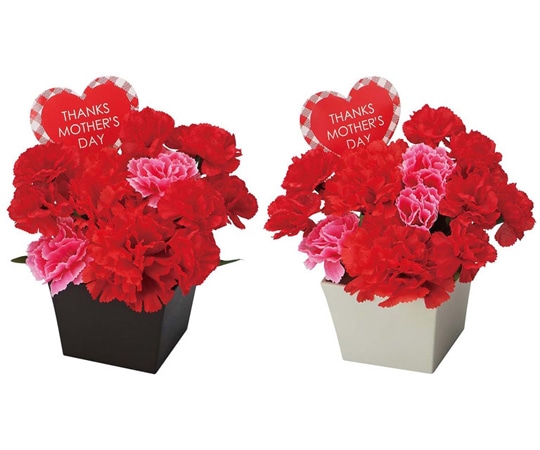 アズワン スクエアカーネーションポット 幅15×高さ19cm 母の日(造花)2個 33-48-4-1 1個(ご注文単位1個)【直送品】