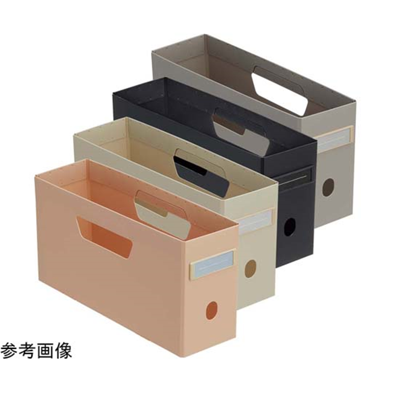 LIHITLAB ボックスファイル(ロータイプ)ベージュ F290-16 1冊(ご注文単位1冊)【直送品】