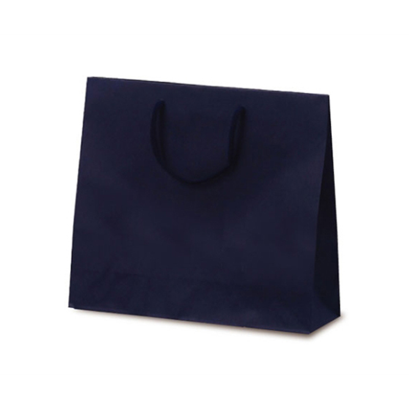 ベルベ 紙袋 手提袋 T-6 カラークラフト ネイビー 100枚 1029 1ケース（ご注文単位1ケース）【直送品】