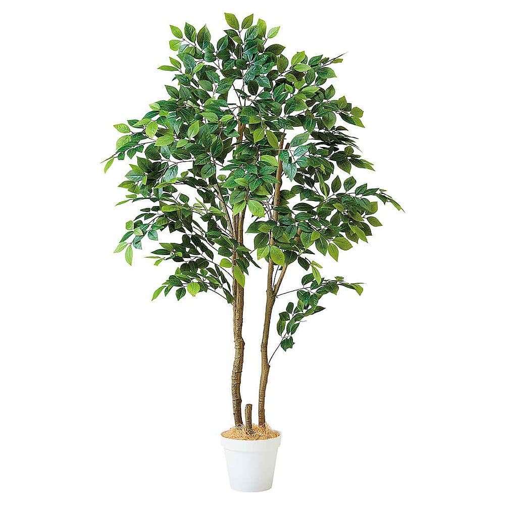 アズワン マウンテンアッシュ(フェイクグリーン 人工樹木)180cm 61-806-80-2 1個(ご注文単位1個)【直送品】