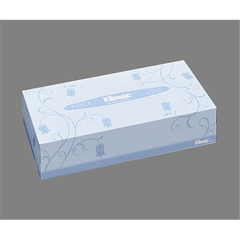 クレシア クリネックスティシュー レギュラー 2枚重ね 214×222mm 100組×60箱 43101 1箱(ご注文単位1箱)【直送品】