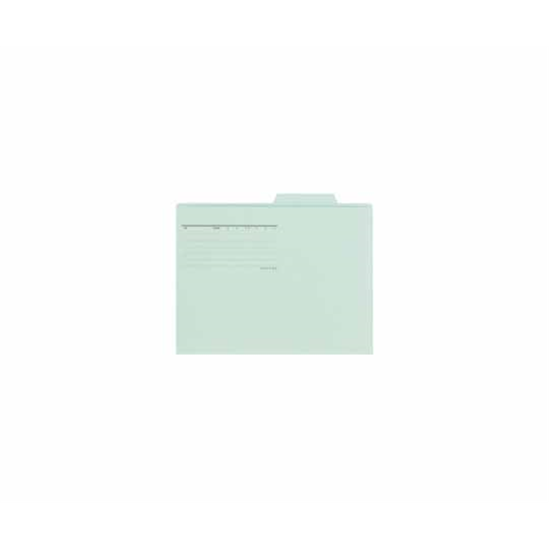 プラス 個別フォルダー A4E ブルー 10枚 FL-081IF 1パック(ご注文単位1パック)【直送品】