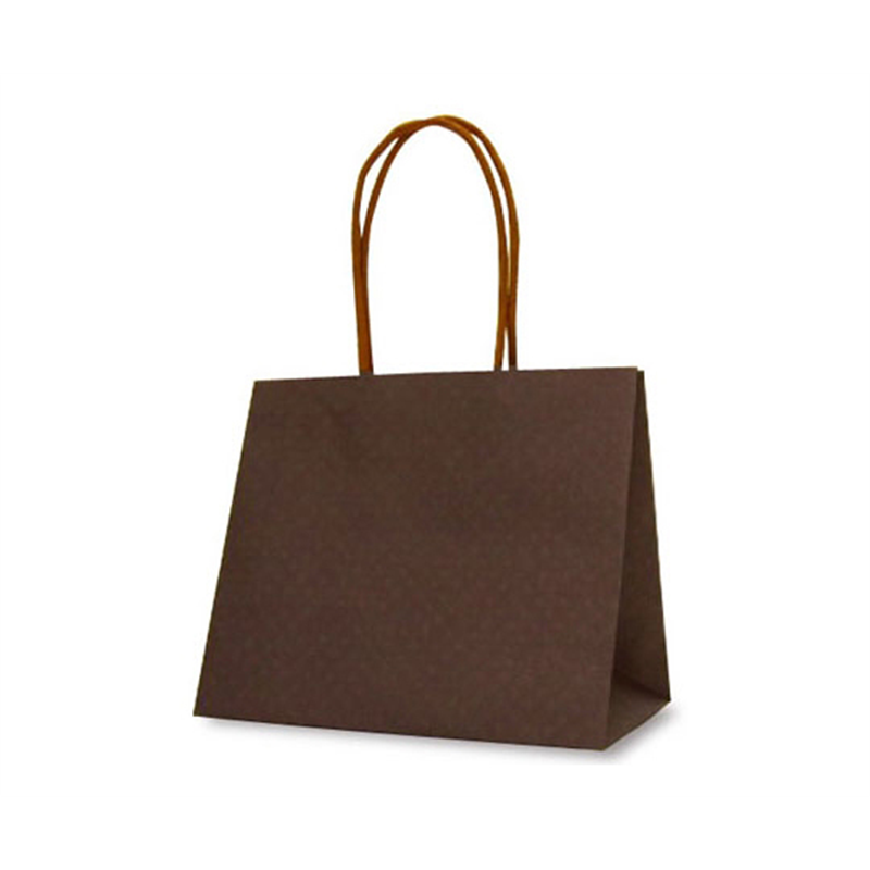 ベルベ 紙袋 手提袋 テミニン ブラウン 10枚 1471 1ケース（ご注文単位1ケース）【直送品】