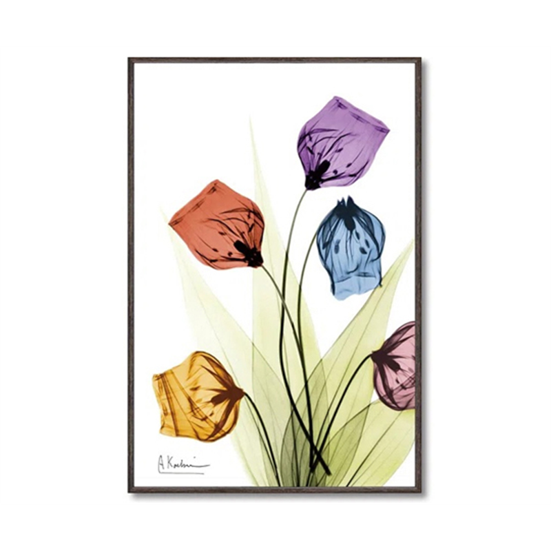 ユーパワー X RAY キャンバスアート｢サンダーソニア(Sサイズ)｣ XR-03819 1個（ご注文単位1個）【直送品】