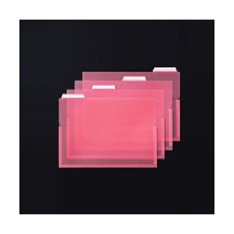 ライオン事務器 A4 インデックスホルダー(ピンク/マチ付/4冊) EA762CF-701 1式(ご注文単位1式)【直送品】