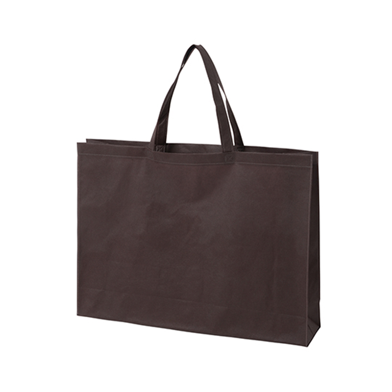 アズワン 不織布バッグ 角底 大 厚タイプ ダークブラウン 1箱(100枚入) LC0552AG00 1箱(ご注文単位1箱)【直送品】