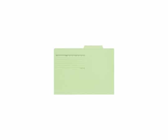 プラス 個別フォルダー A4E グリーン10枚 FL-081IF 1パック(ご注文単位1パック)【直送品】