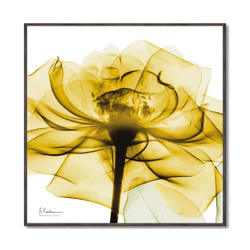 ユーパワー X RAY キャンバスアート｢ゴールデンローズ(スクエアS)｣ XR-05801 1個（ご注文単位1個）【直送品】