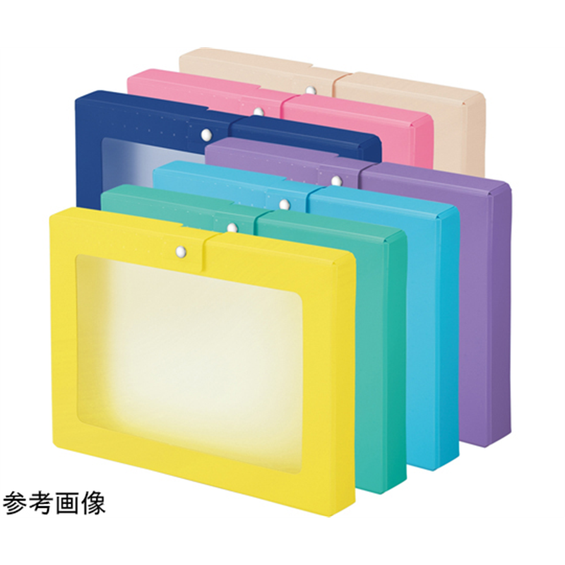 LIHITLAB CUBEFIZZ ハンドケース ネイビー A699-11 1冊(ご注文単位1冊)【直送品】