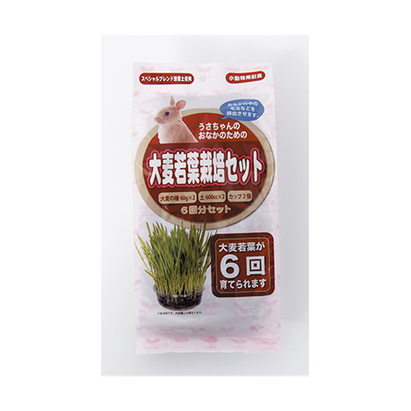 アラタ うさちゃんのおなかのための大麦若葉栽培セット  1セット（ご注文単位1セット）【直送品】