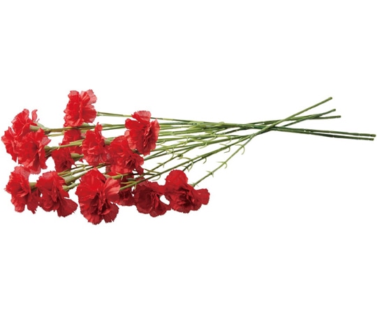 アズワン カーネーションスプレー 53cm (造花) レッド 24本 33-47-2-2 1本(ご注文単位1本)【直送品】