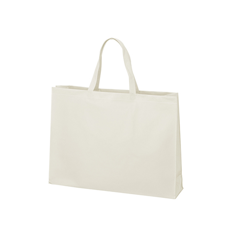 アズワン 不織布バッグ 角底 大 白 1箱(100枚入) LC0452AC00 1箱(ご注文単位1箱)【直送品】