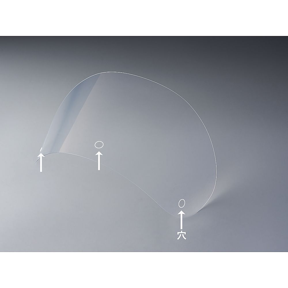 東洋リントフリー モスアイ構造穴通し仕様シールド(FZ5501対応) 10枚入 923002 FREE 1袋 (ご注文単位1袋)【直送品】