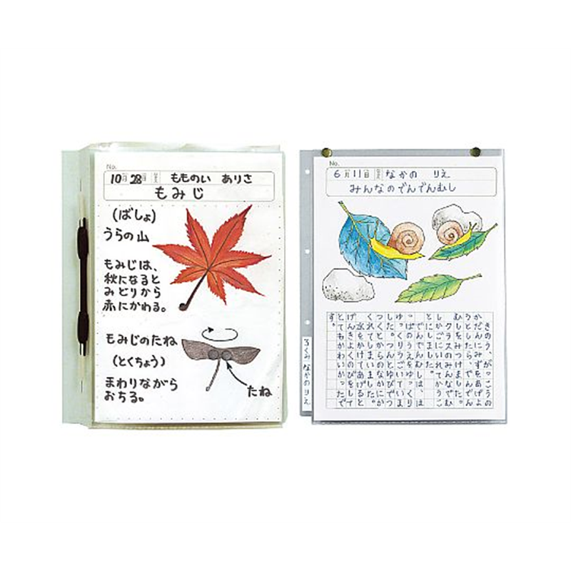 アーテック 透明掲示ホルダー A4 2606 1箱(ご注文単位1箱)【直送品】