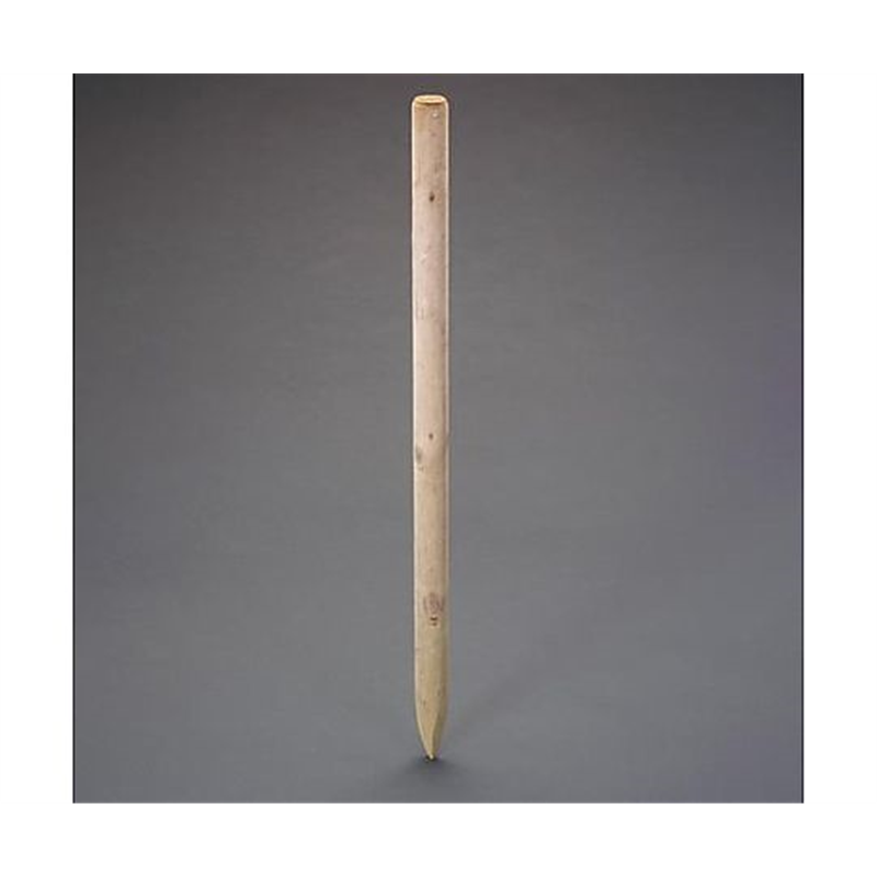 アズワン φ60x1500mm ACQ杭(5本) EA628ZD-24A 1セット(ご注文単位1セット)【直送品】