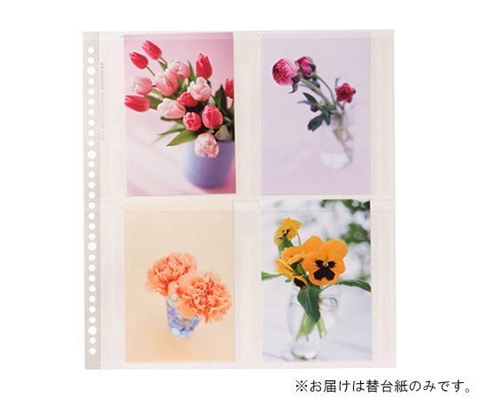 ハクバ写真産業 SF-6 ポストカードプリント用ホワイト替台紙  1セット(ご注文単位1セット)【直送品】