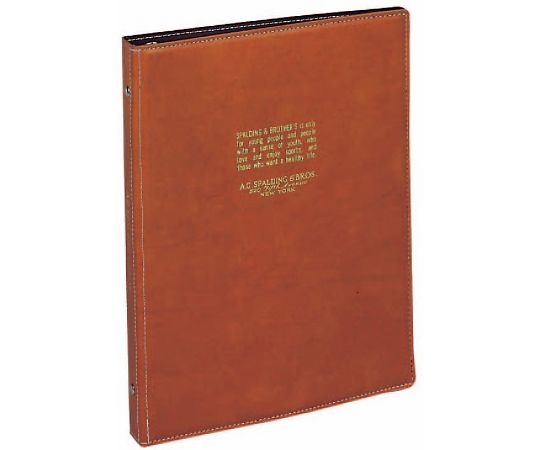 レイメイ藤井 ブロス20穴バインダー ブラウン BRE161C 1冊(ご注文単位1冊)【直送品】