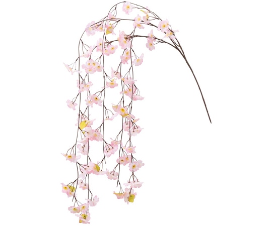 アズワン 特大シダレ桜大枝 150cm 23-4-7-1 1個(ご注文単位1個)【直送品】