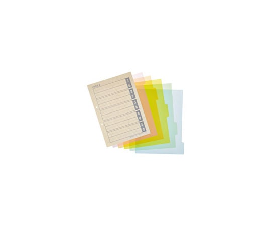 スマートバリュー PPインデックス A4S 2穴5山6枚 10組 D142J-10 1パック(ご注文単位1パック)【直送品】