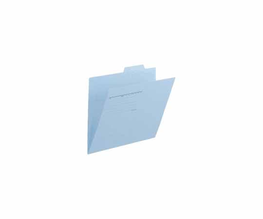 プラス 個別フォルダー A4E ロイヤルブルー 10枚 FL-061IF(10) 1パック(ご注文単位1パック)【直送品】