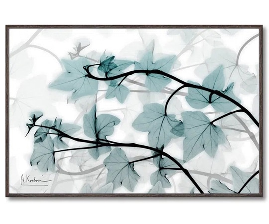 ユーパワー X RAY キャンバスアート｢アイビー(Sサイズ)｣ XR-03815 1個（ご注文単位1個）【直送品】