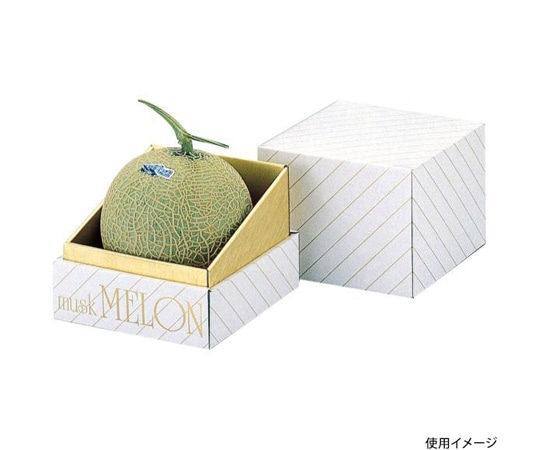 ヤマニパッケージ 青果用贈答箱 金台紙メロン1個入 30枚 L-73 1ケース（ご注文単位1ケース）【直送品】