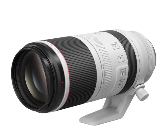 キヤノン レンズ RF100-500mm F4.5-7.1 L IS USM RF100-500LIS 1個（ご注文単位1個）【直送品】