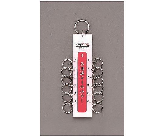 エスコ キーホルダー(12キー) EA956VD-11 1個(ご注文単位1個)【直送品】
