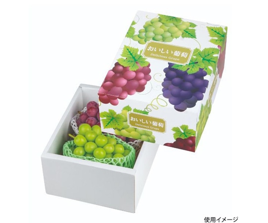 ヤマニパッケージ 青果用贈答箱 デリシャス葡萄 30枚 L-2279 1ケース（ご注文単位1ケース）【直送品】
