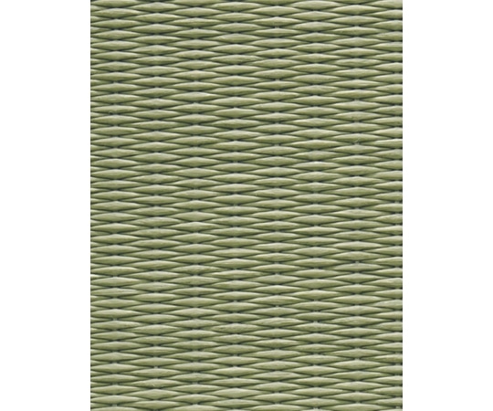 セキスイ セキスイ｢MIGUSA｣フロア畳 目積:グリーン  1枚（ご注文単位1枚）【直送品】