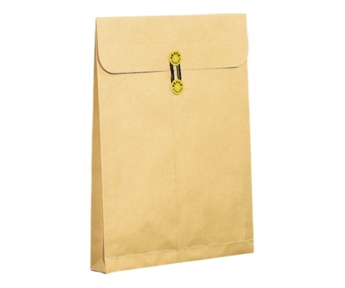 高春堂 間伐材保存袋 角0/B4用 173-60 1箱(ご注文単位1箱)【直送品】