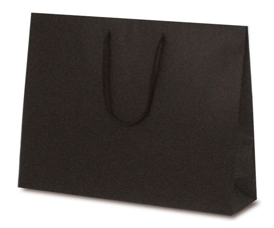 ベルベ 紙袋 手提袋 T-Y カラークラフト ブラウン 100枚 1054 1ケース(ご注文単位1ケース)【直送品】